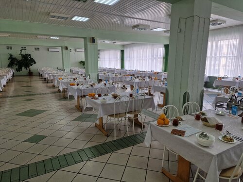 Санаторий Клинический санаторий им. Горького в Воронежской области