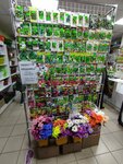 Sadovy ray (Lepse Street, 77), gardening shop