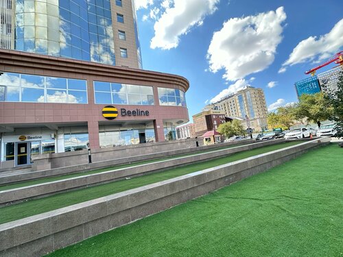 Автобустағы азиялық әйел бейне