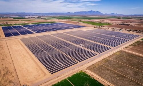 Educational center Eduvational Trainings, Sharjah, photo