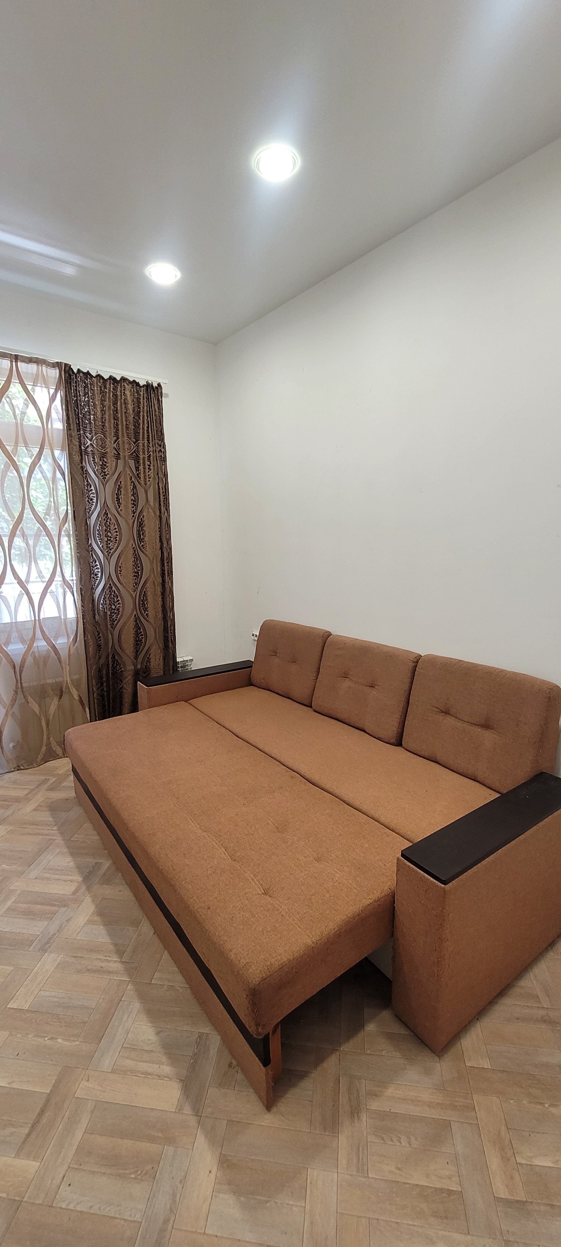 Фото Горный кедр