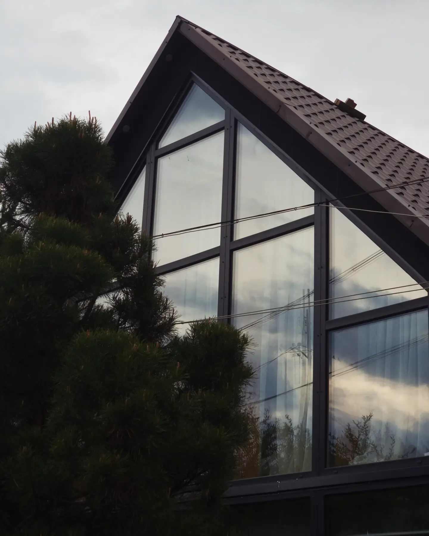 Фото Лесная