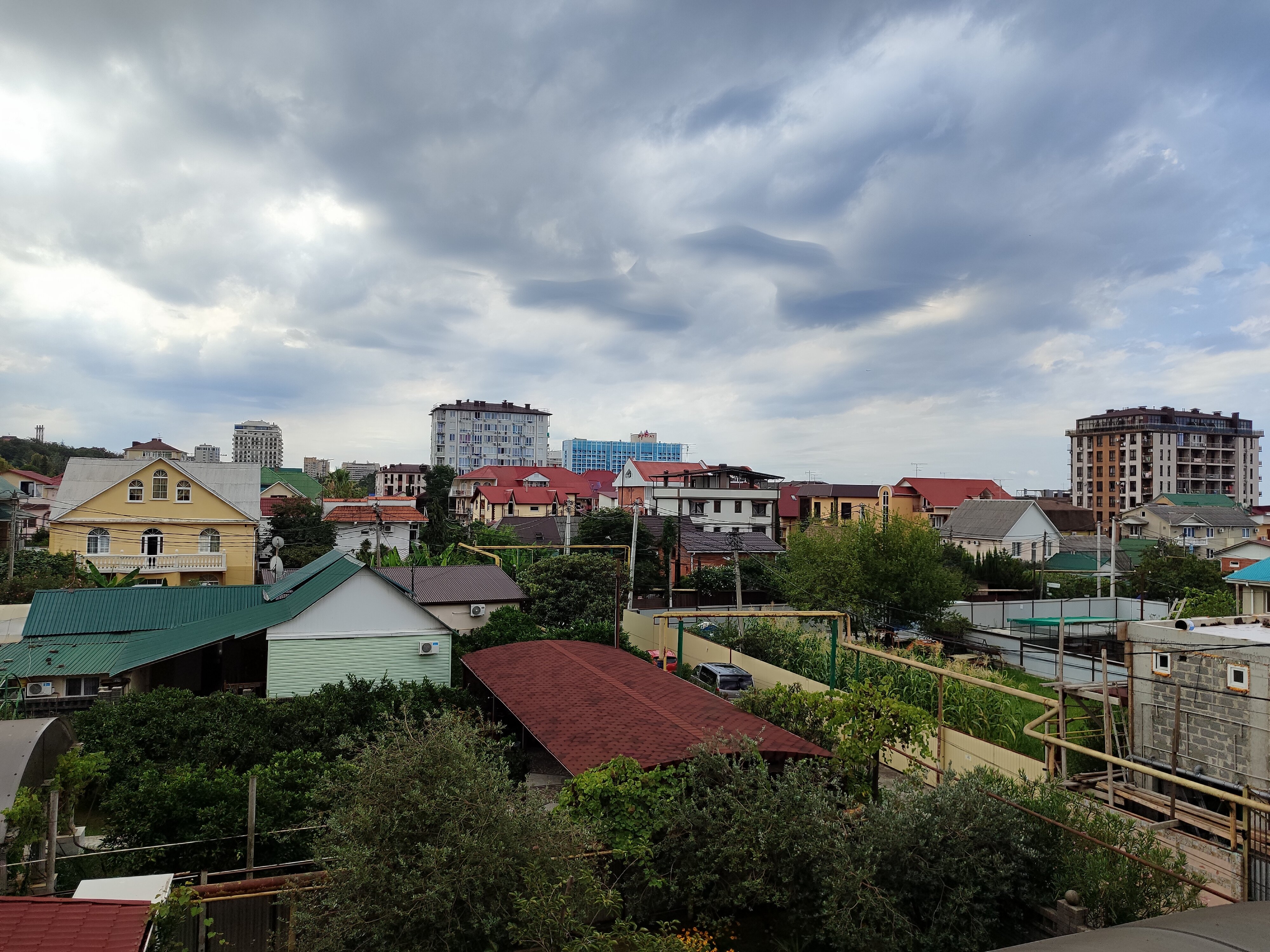 Фото Белая Лилия