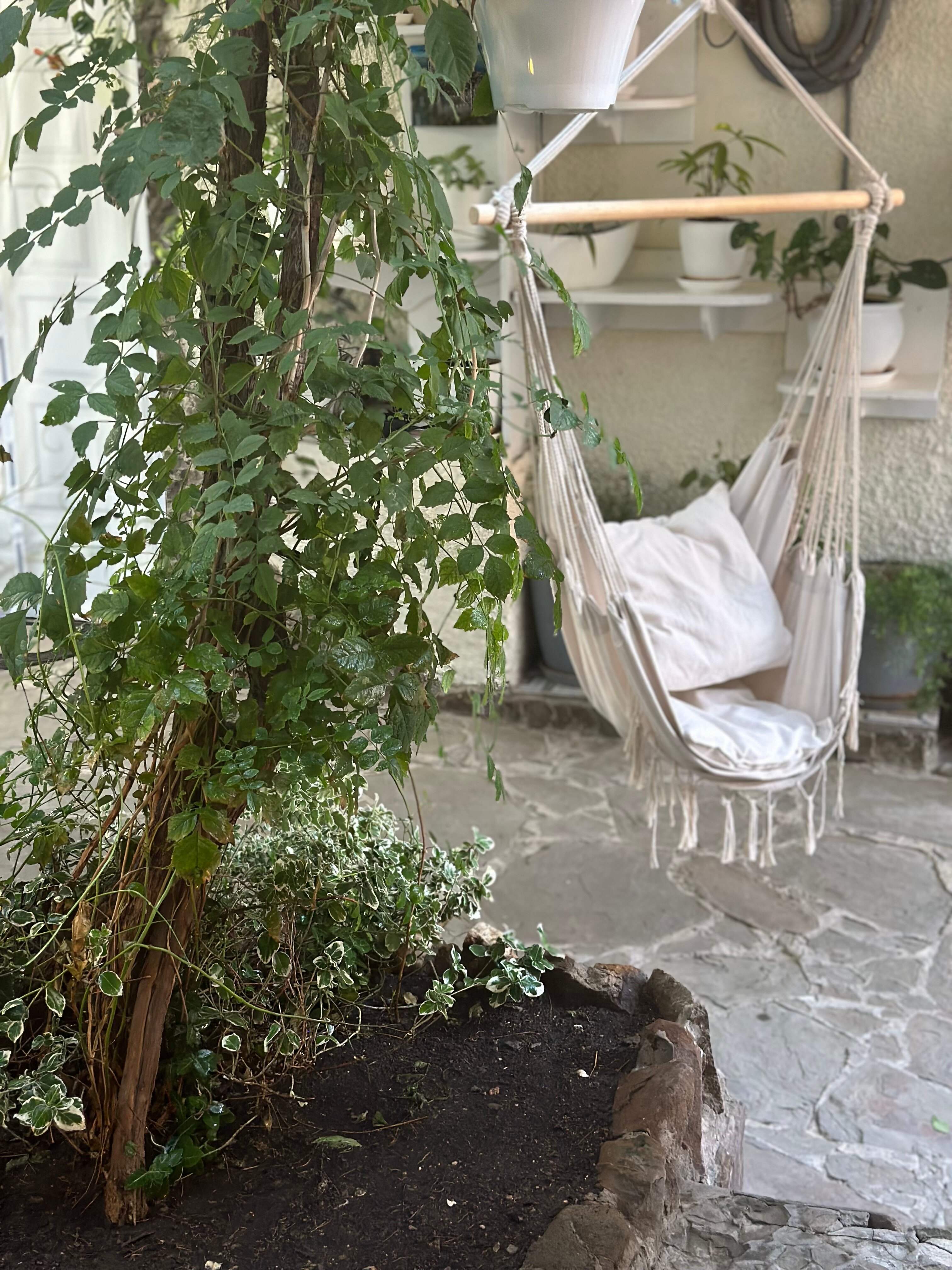 Фото Гостевой дом Вишневских