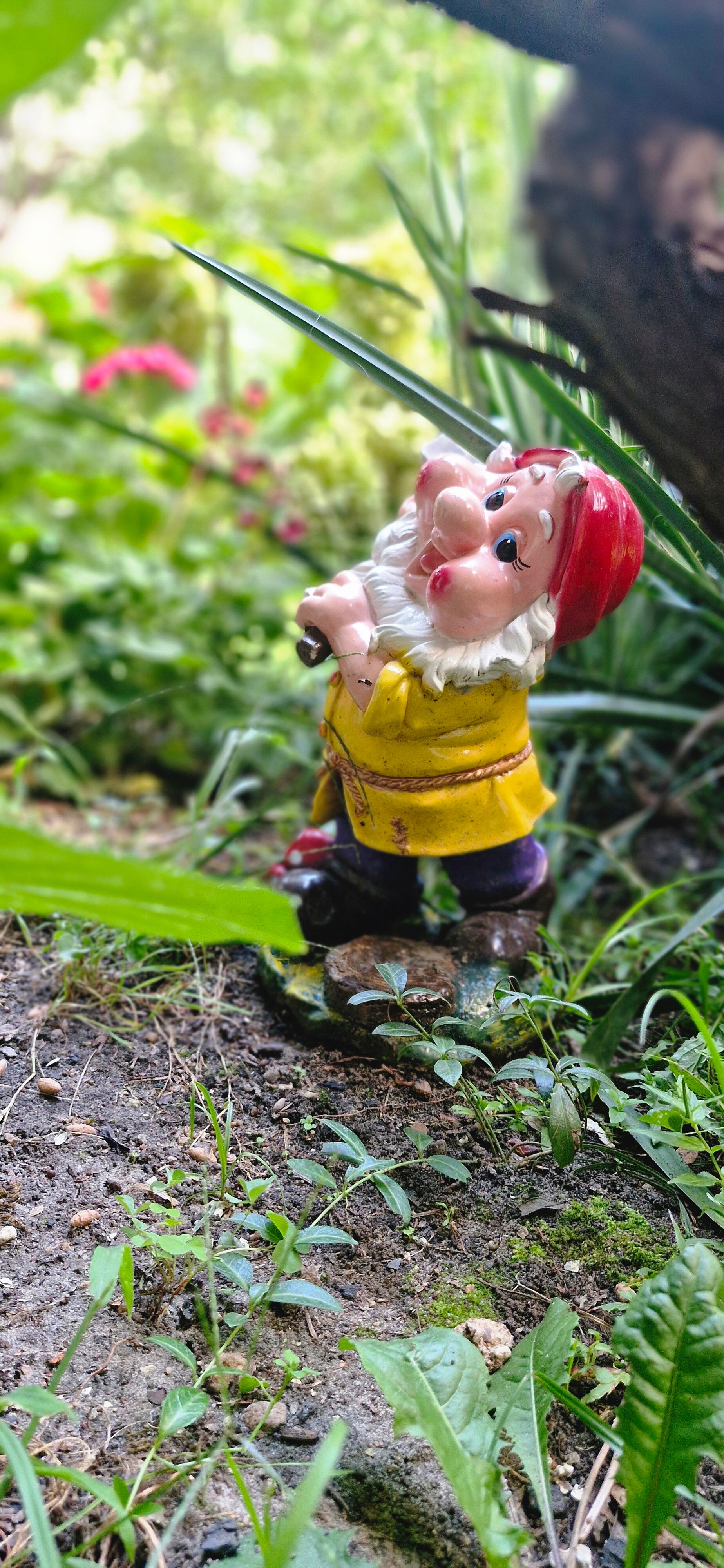 Фото У Ольги