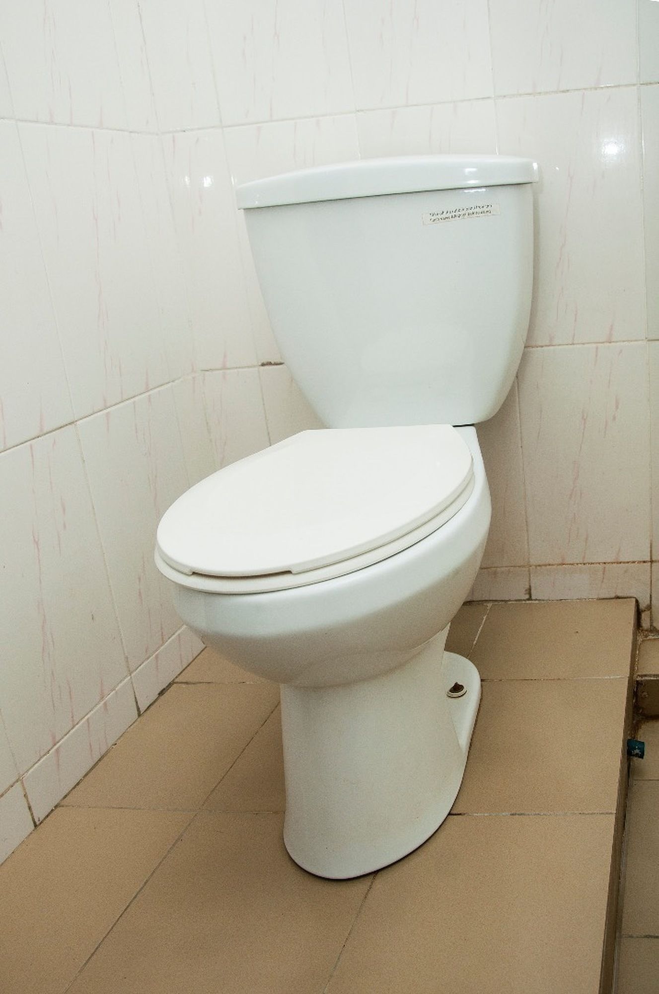 Фото Sugarland Hotel & Suites