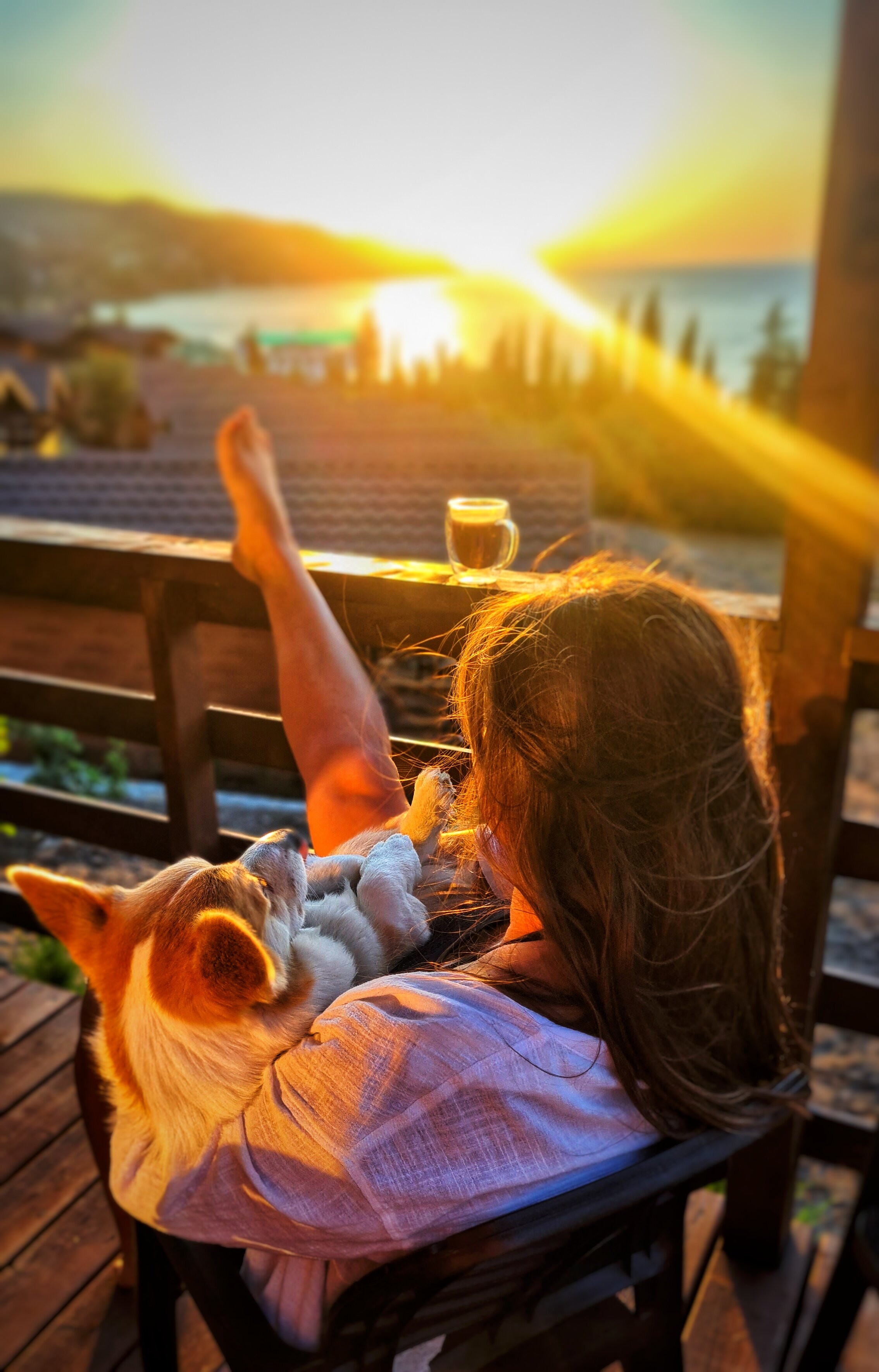 Фото Видовой