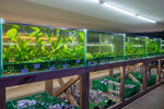 Rybka Doma (Moscow, Garibaldi Street, 36) ، aquariums