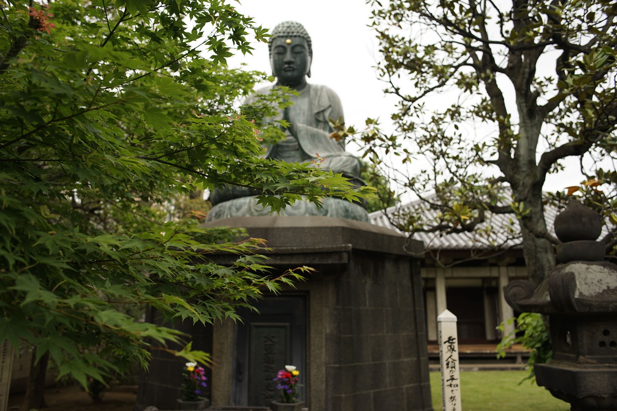 Фото Sakura Hotel Nippori