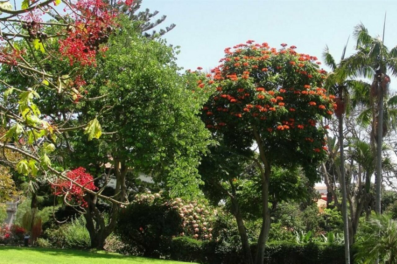 Фото Quinta Da Casa Branca