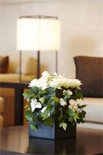 Фото Four Points by Sheraton Seoul, Guro