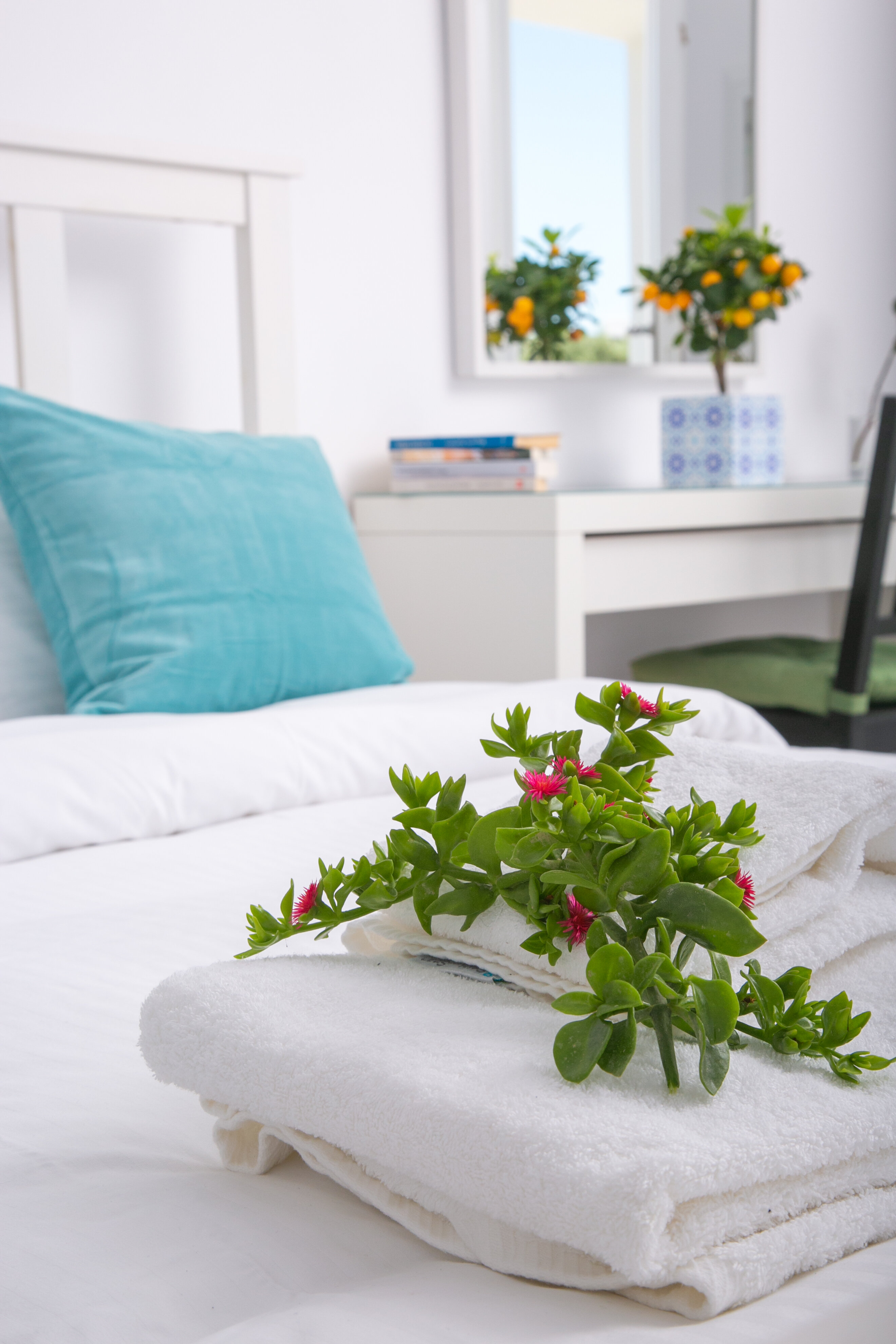 Фото Apanomeria Boutique Residence