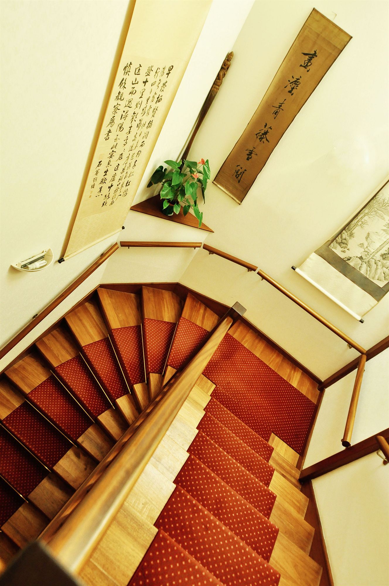 Фото Villa Kerasy Hotel SPA