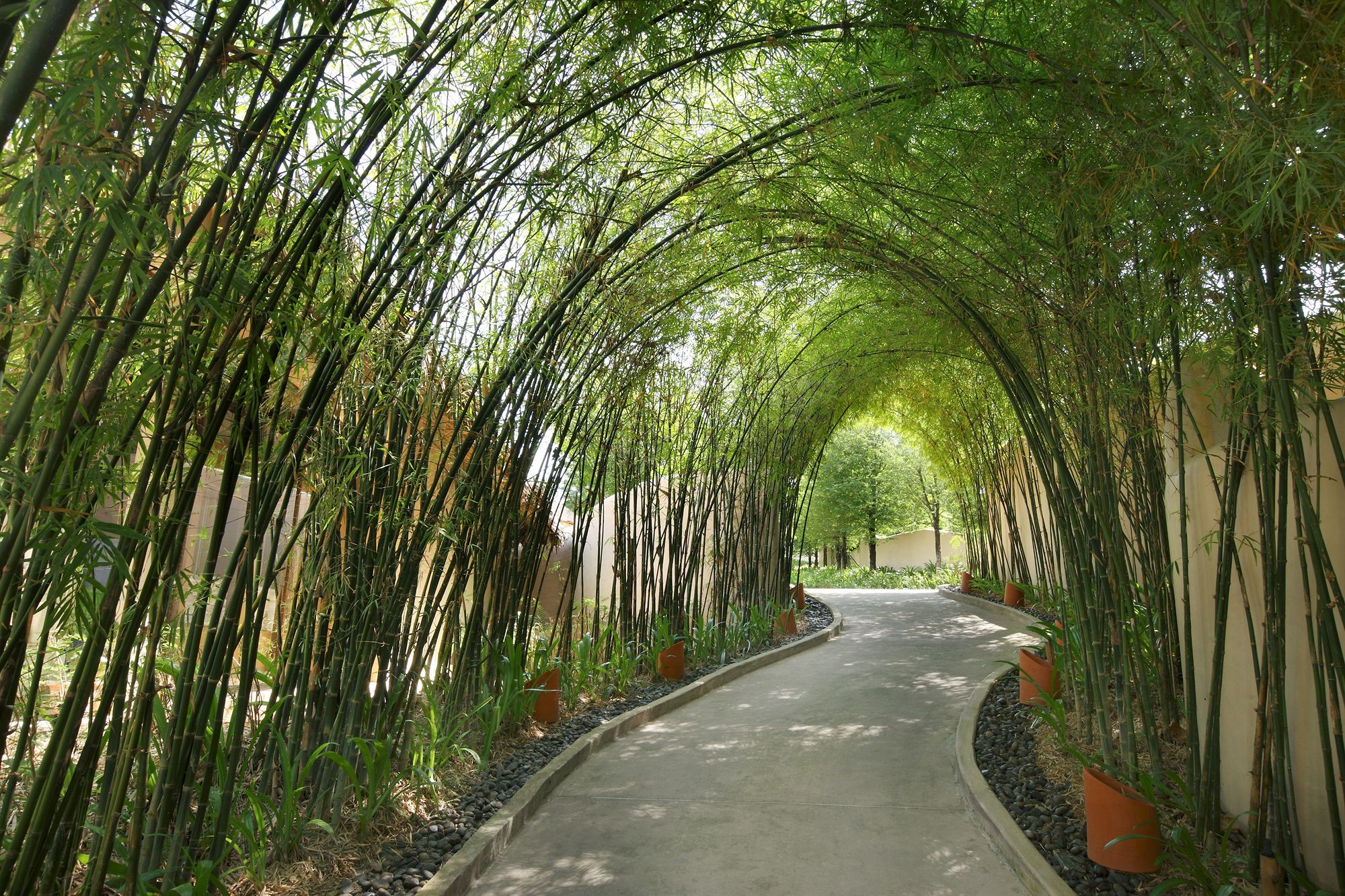 Фото The Naka Island, a Luxury Collection Resort & SPA, Phuket