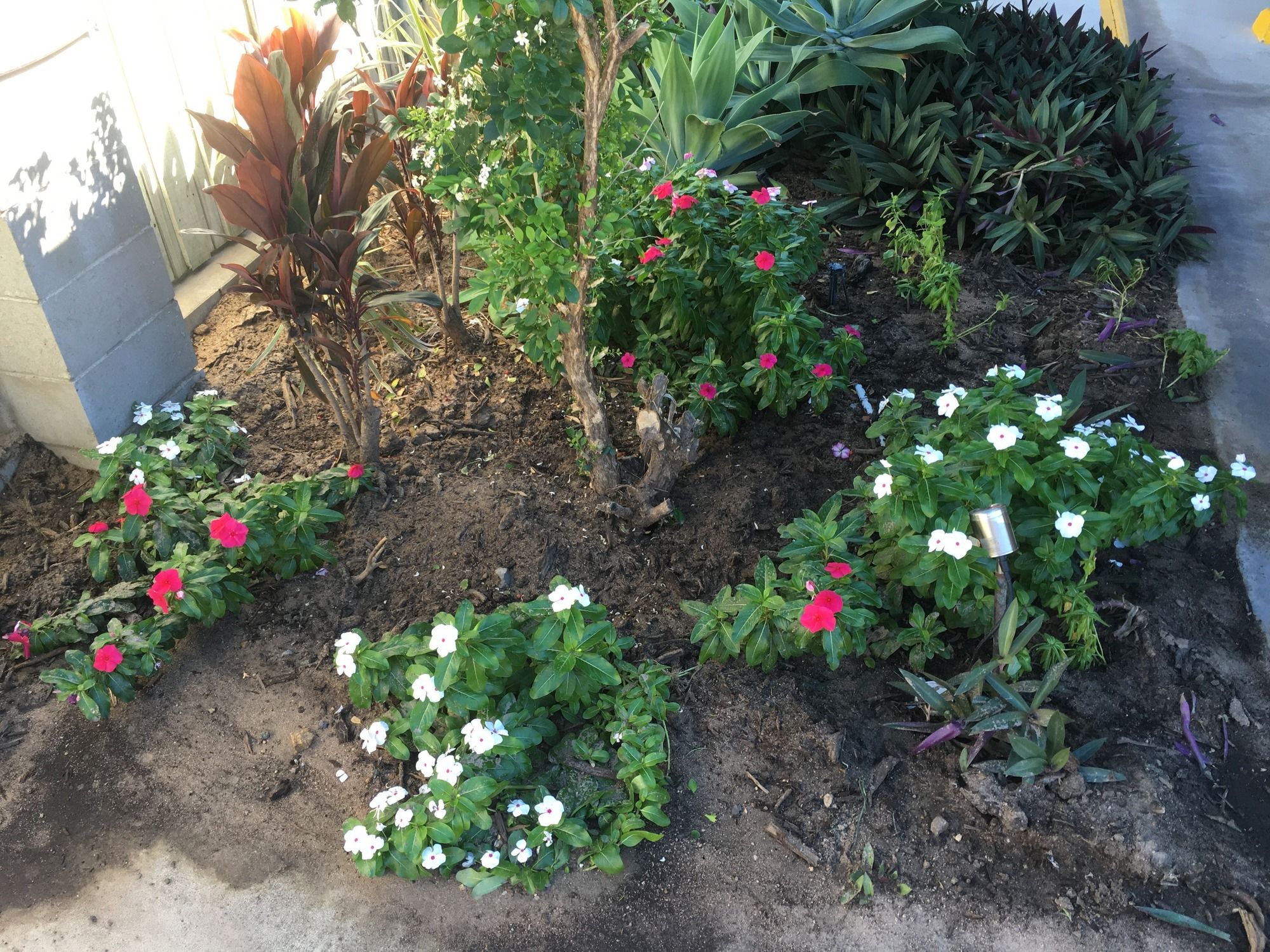 Фото Bluewater Harbour Motel