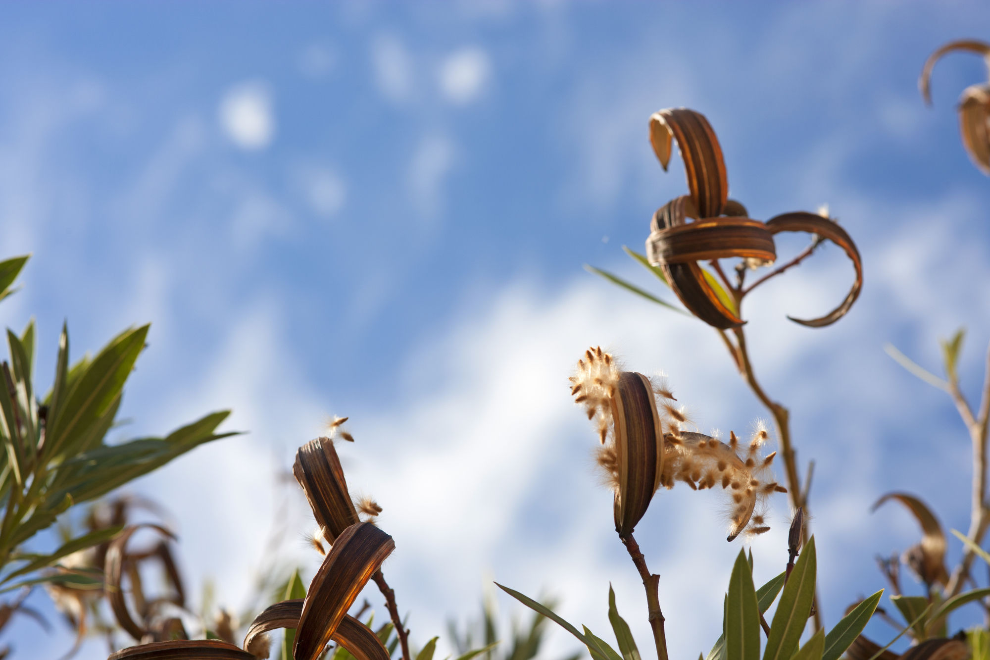 Фото Kapsaliana Village Hotel