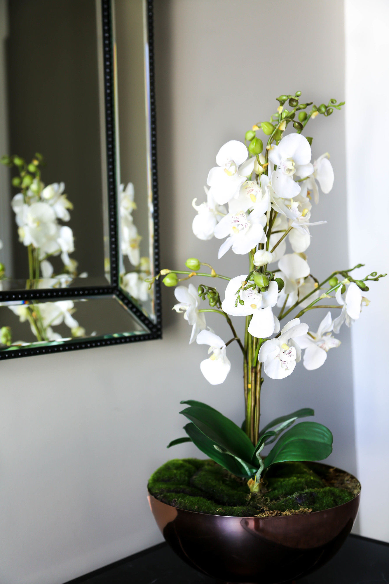 Фото The Lurline Randwick