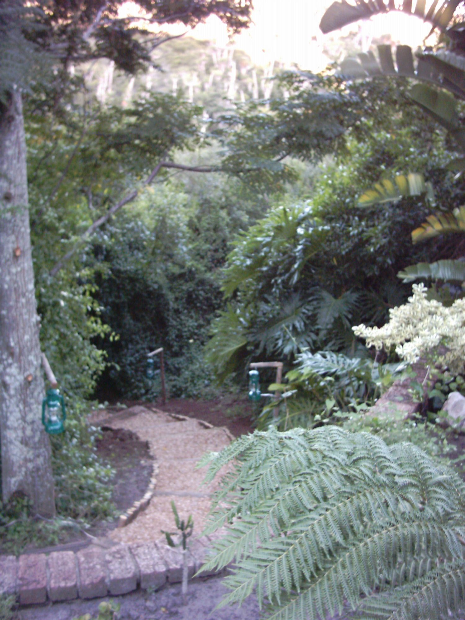 Фото Dolphin View Guesthouse