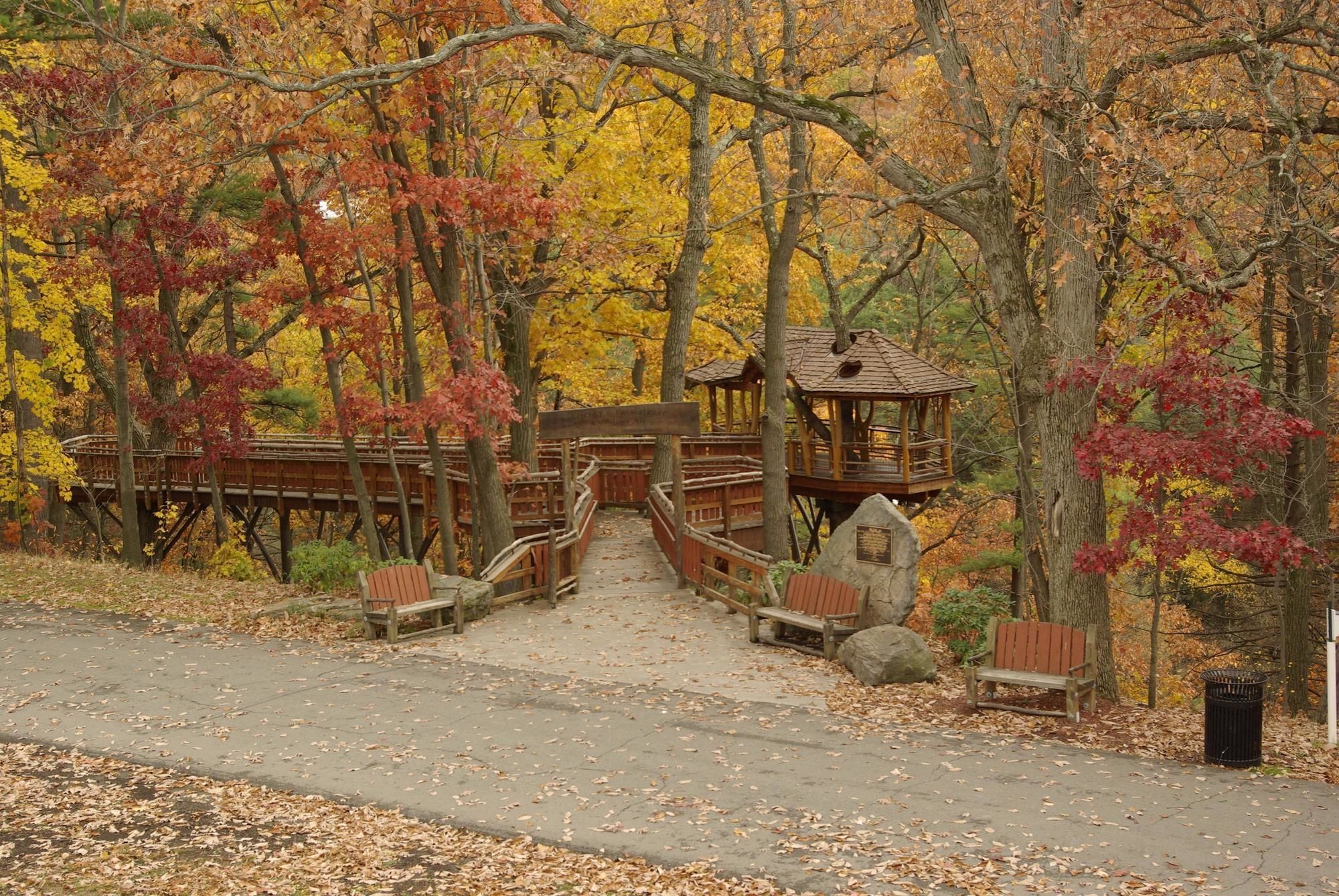 Фото Hampton Inn Scranton at Montage Mountain