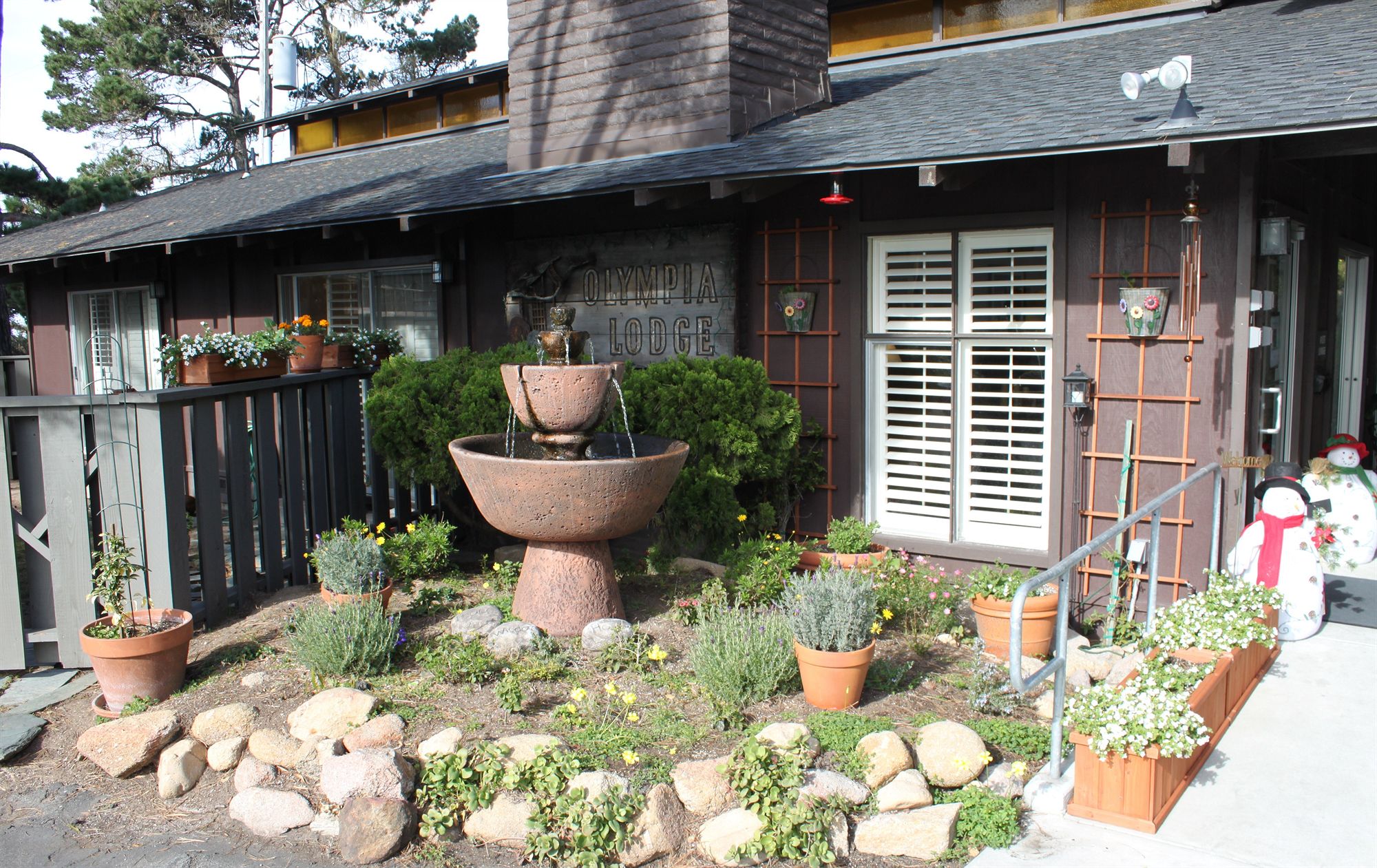 Фото Olympia Lodge