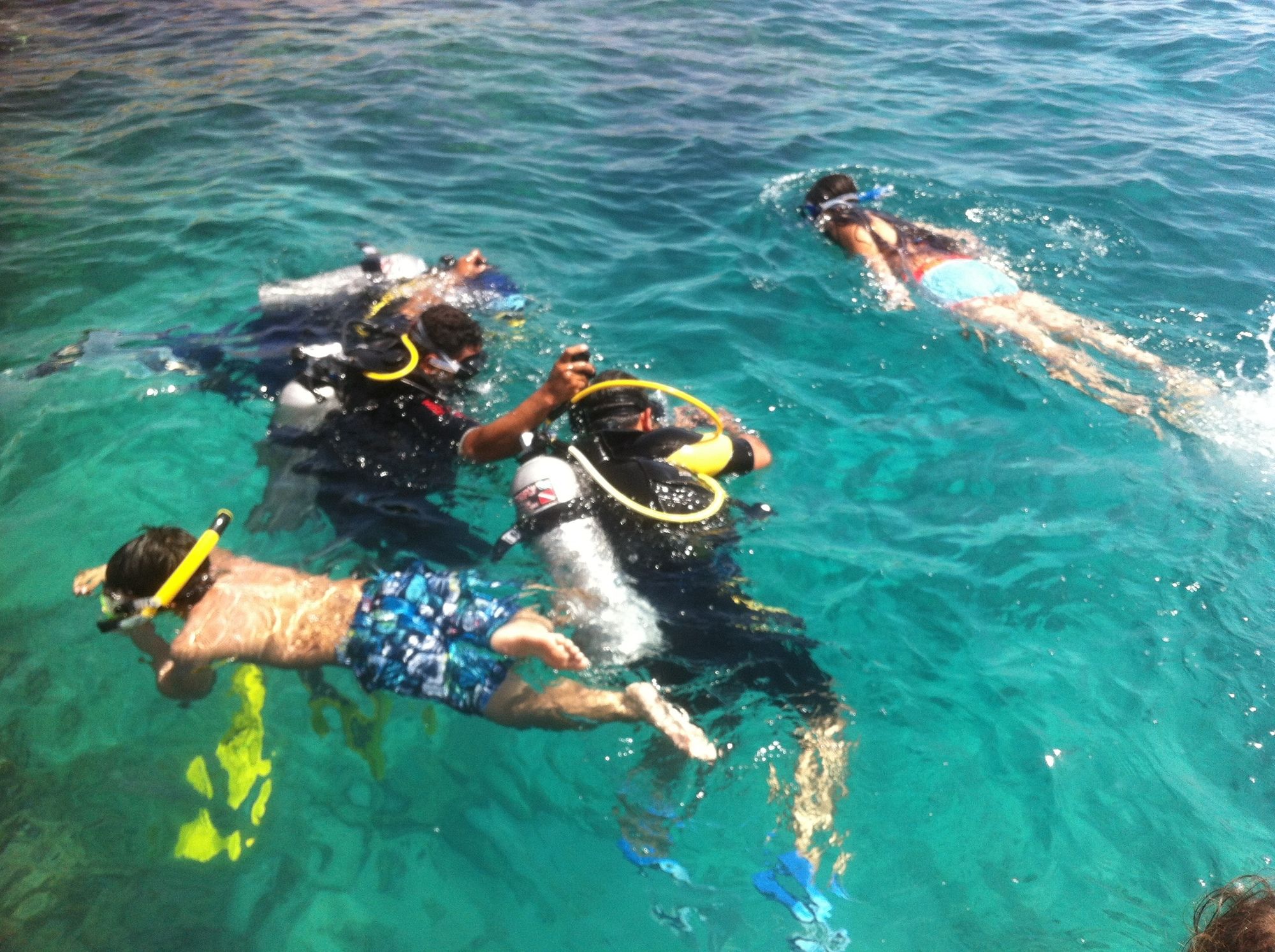 Фото Shark's Bay Oasis