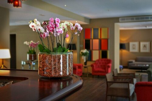 Гостиница Hotel Can Alomar - Adults Only на Балеарских островах