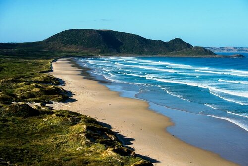 Гостиница Tall Timbers Tasmania