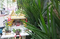 Фото Baipho Lifestyle