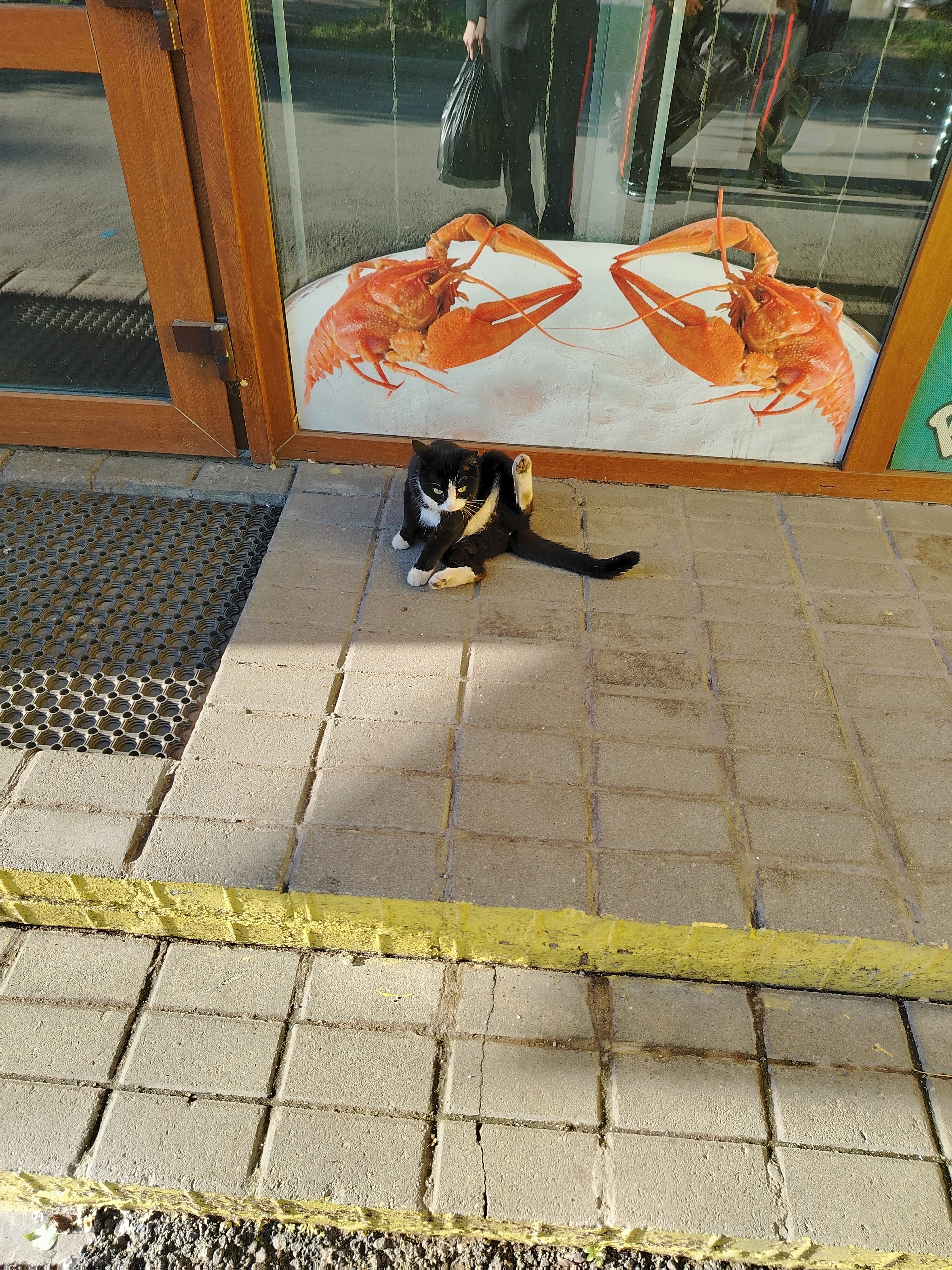 Фото Гостиничный комплекс Восток