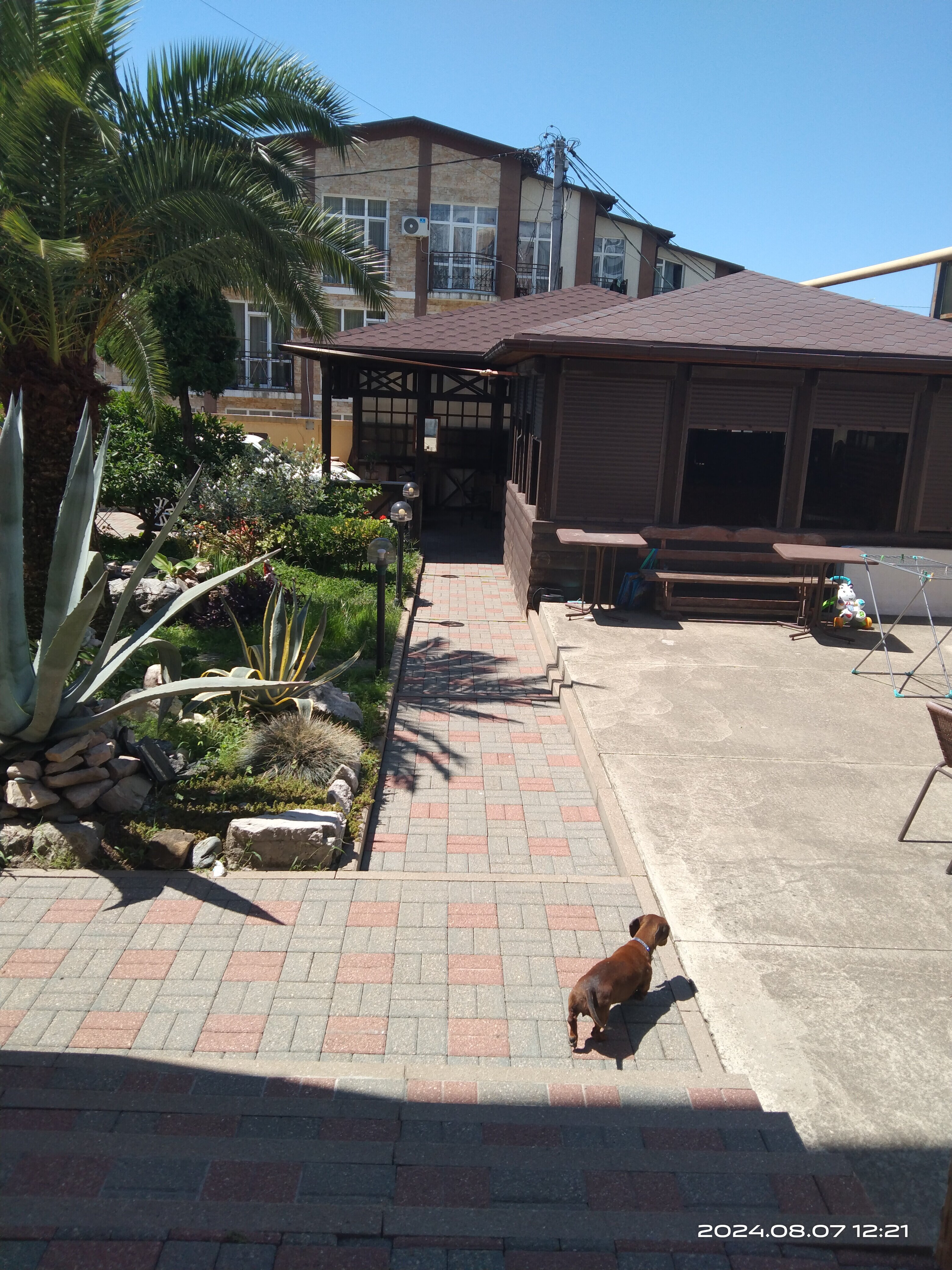 Фото Ключевой 9