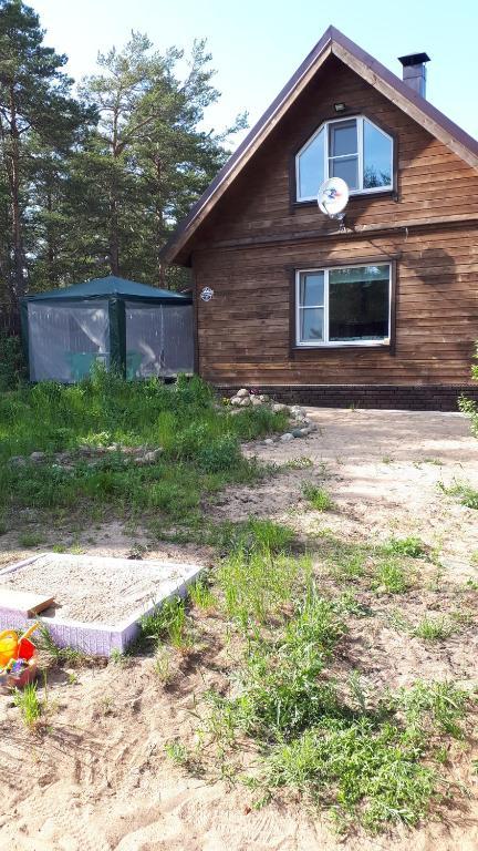 Фото Сосновый бор