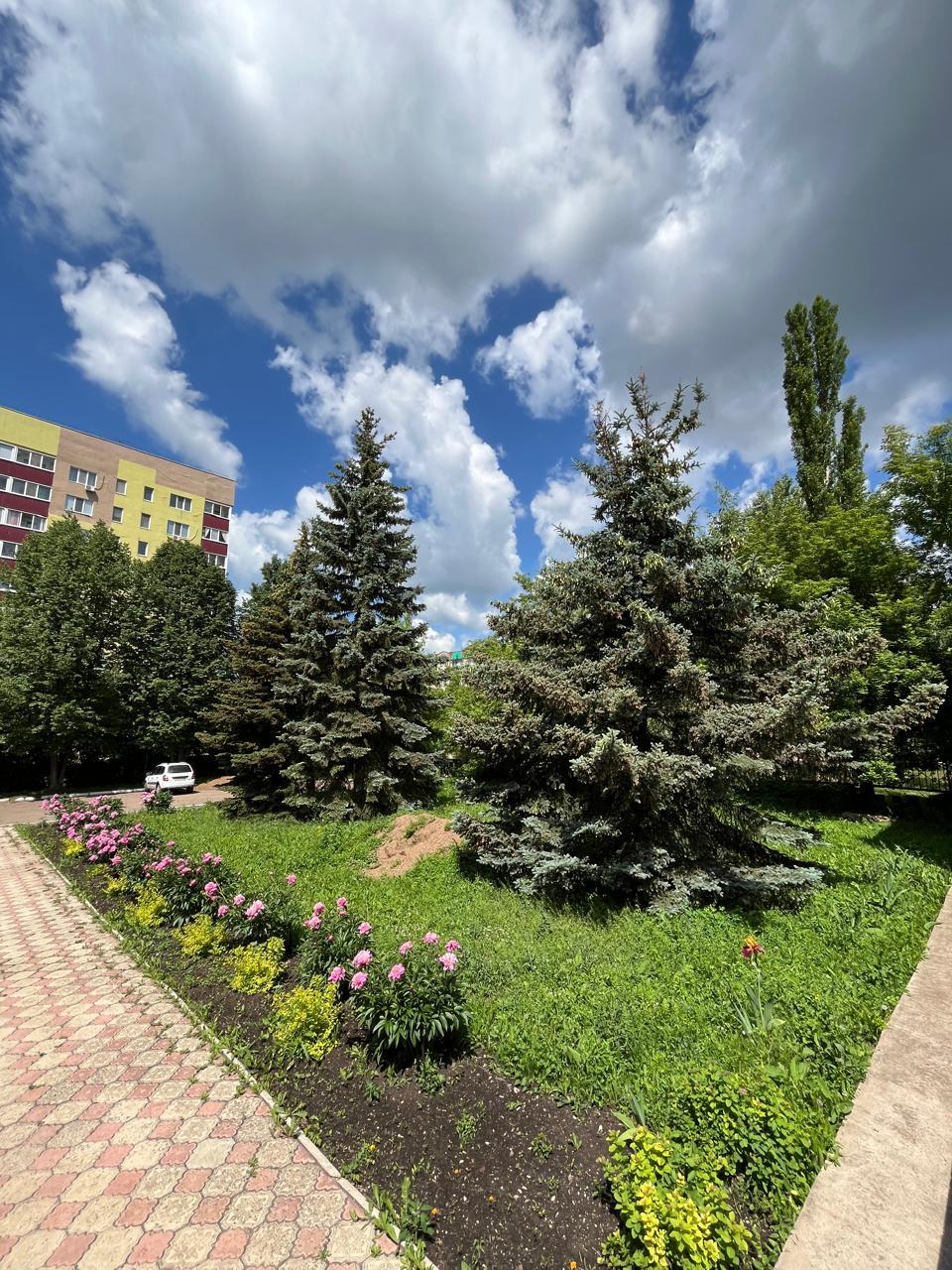 Фото Фаворит