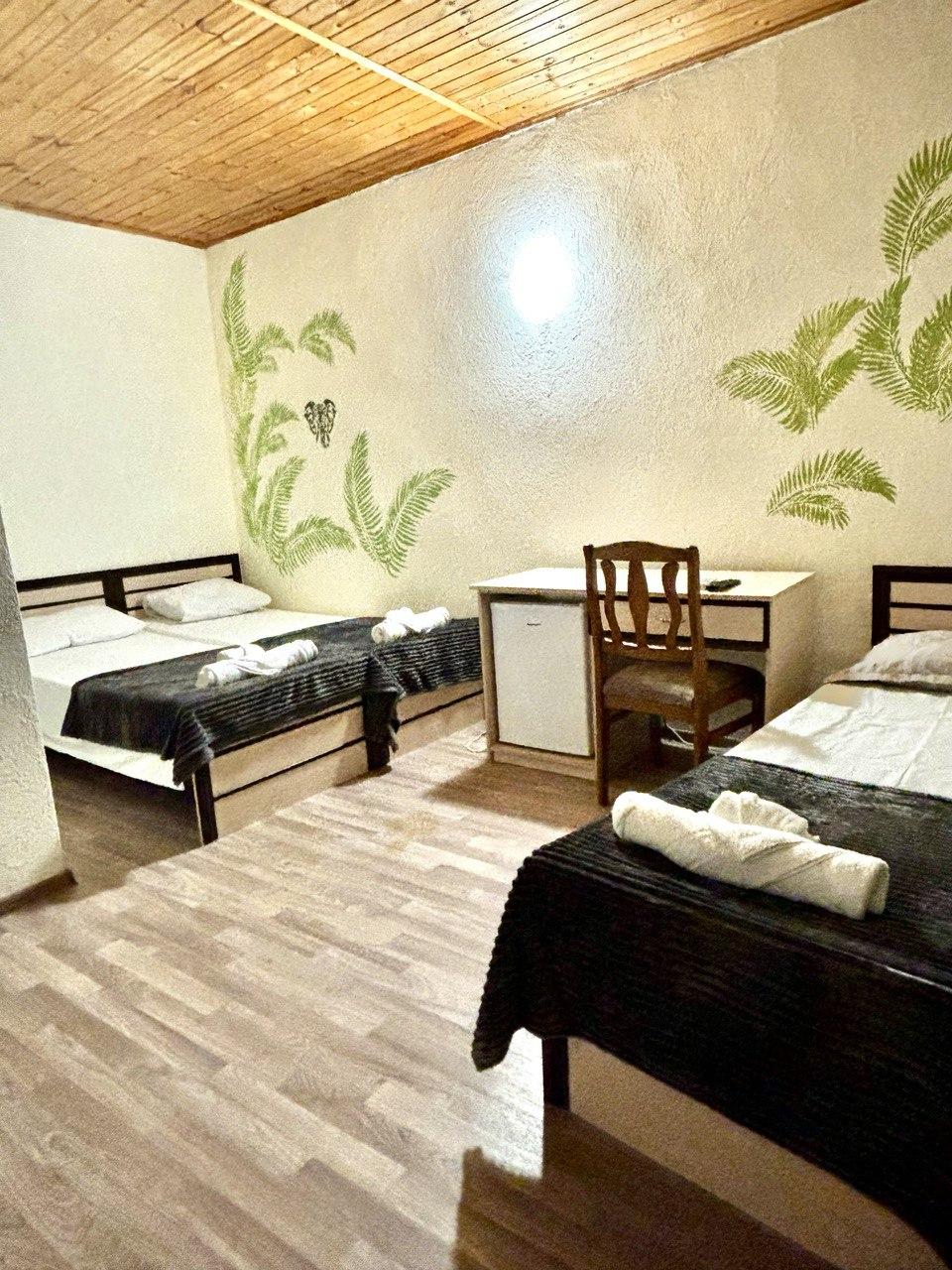 Фото Тропики