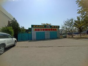 Гостиница Asia Hotel