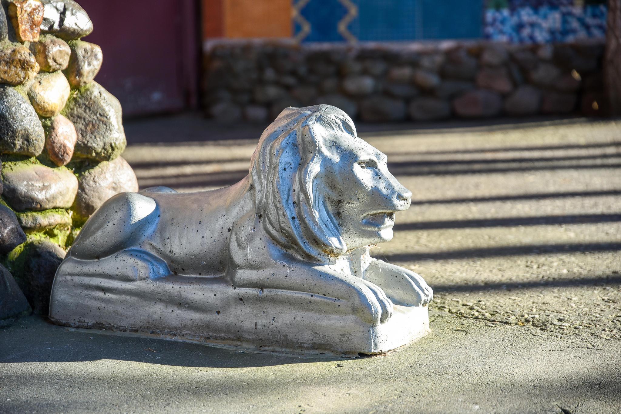 Фото Рубикон