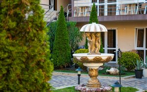 Анютины Глазки