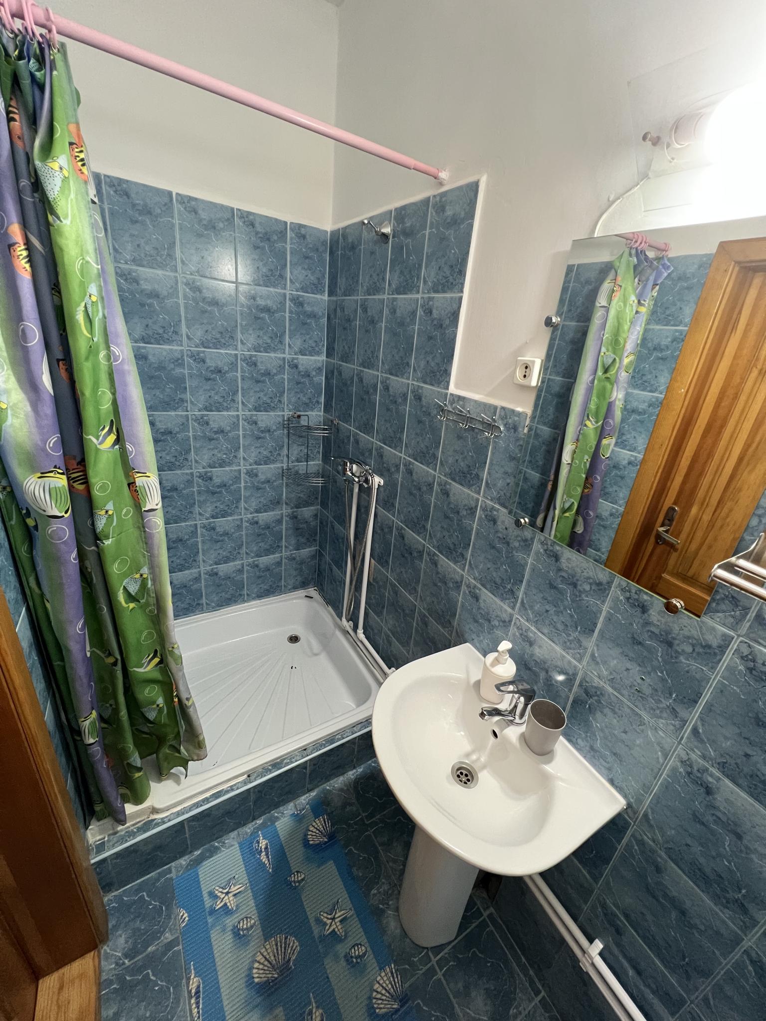 Фото Фортуна