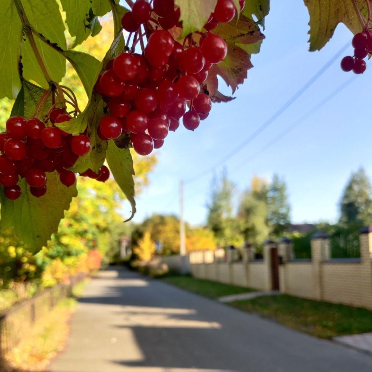 Фото Башня в Царицыно