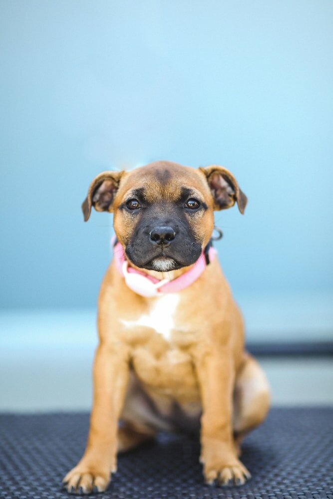 Фото Naturally Pacific Resort