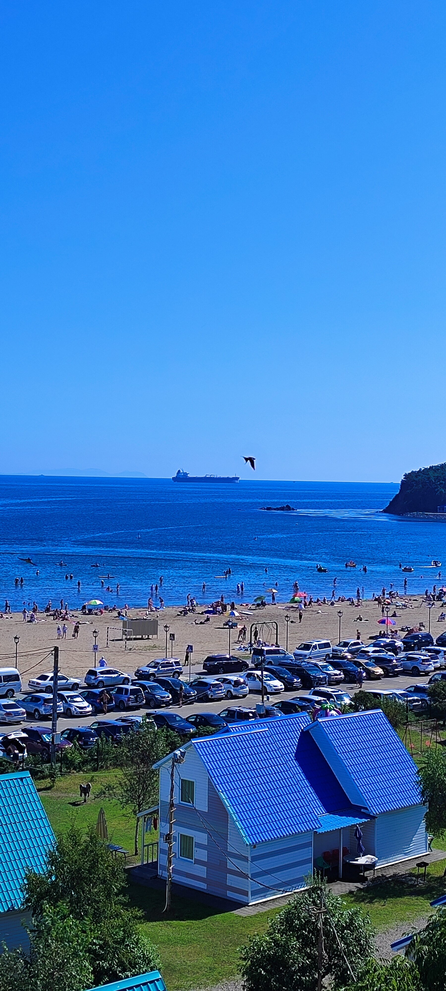 Фото Звезда моря