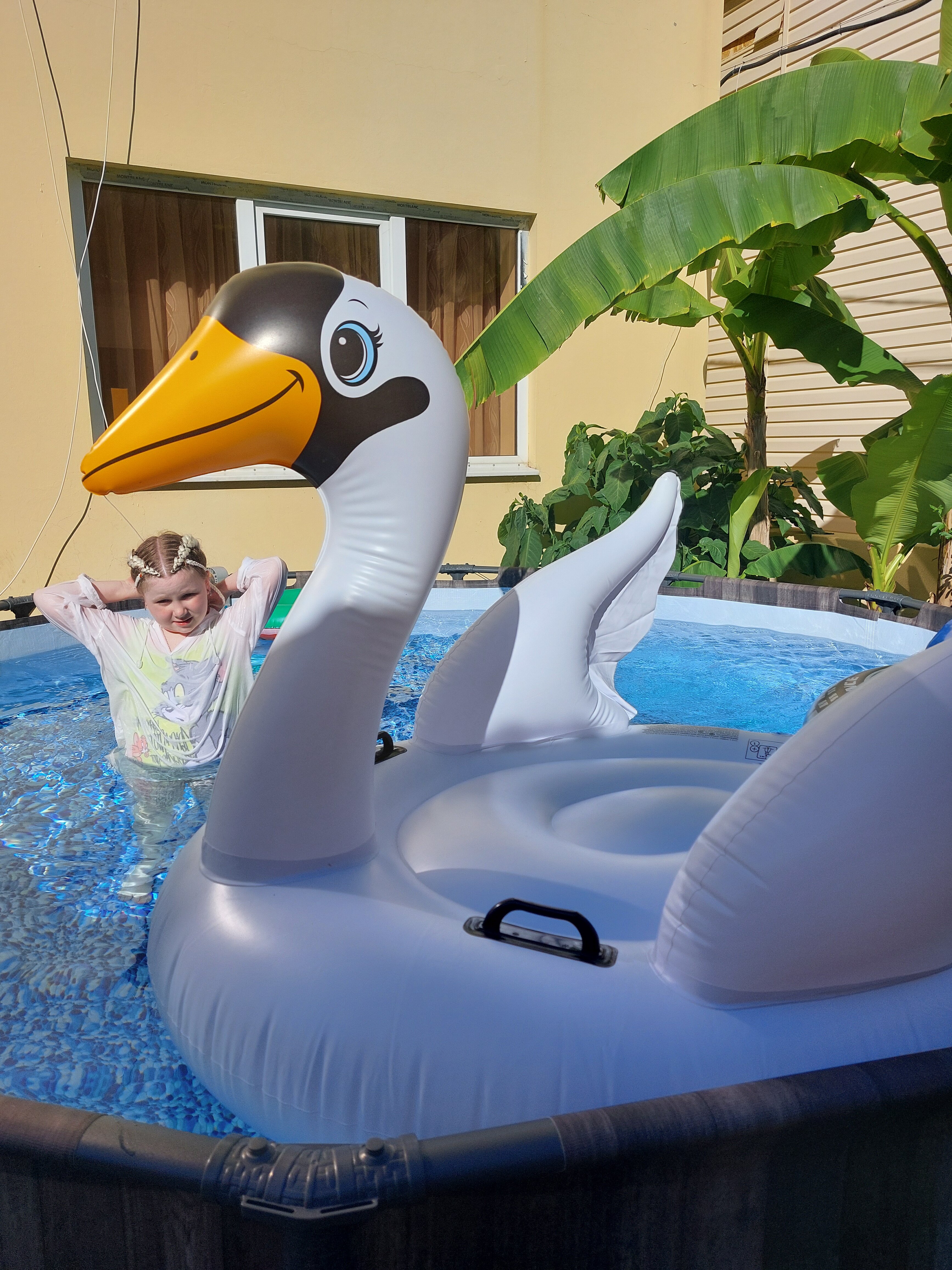 Фото Санрайз