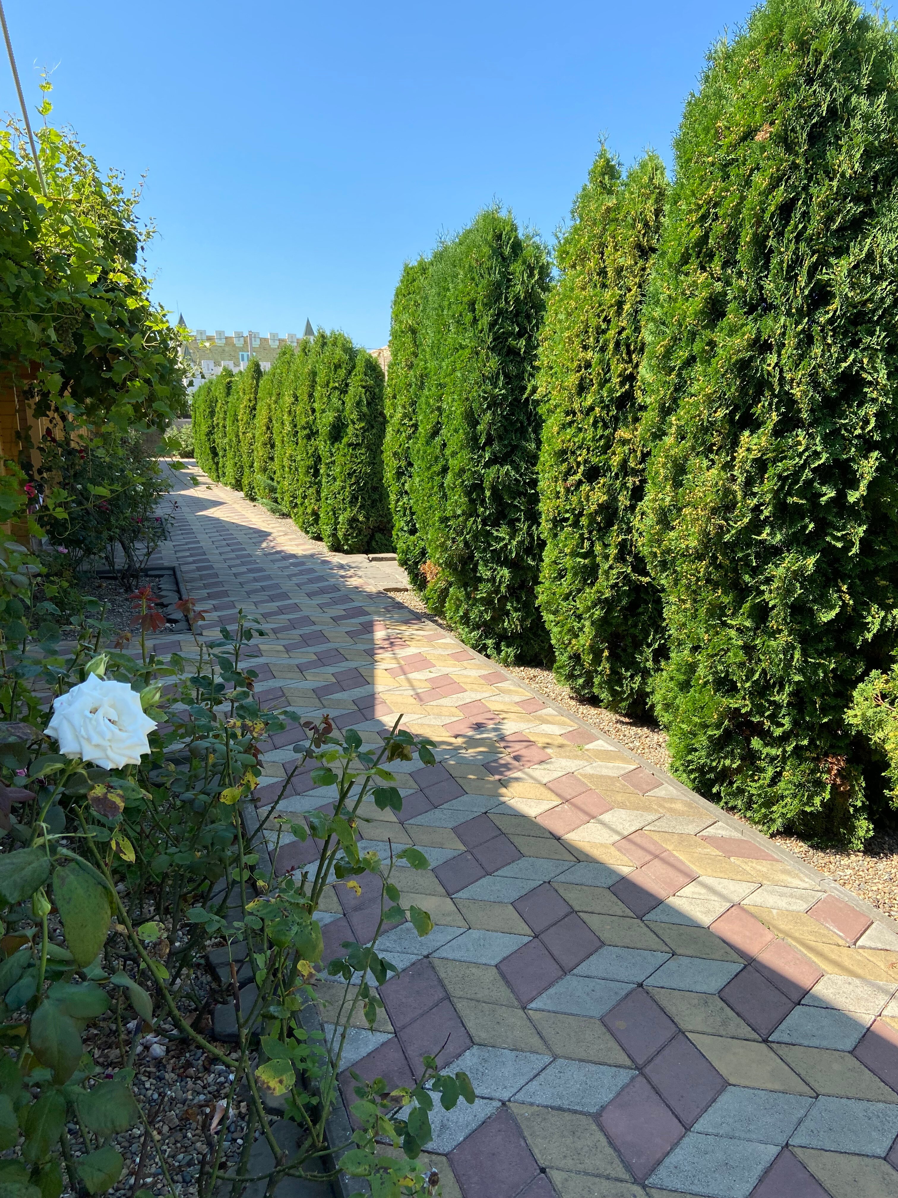 Фото Азов патио