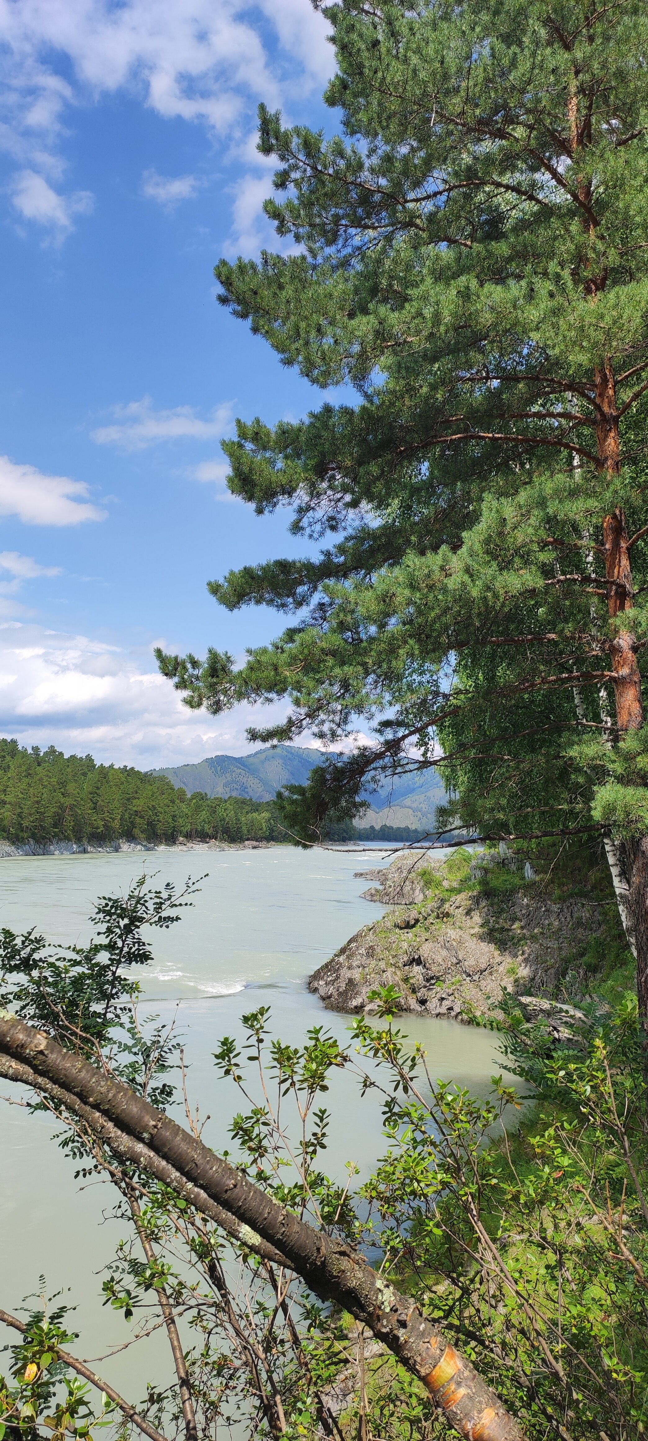 Фото Баюта Алтай