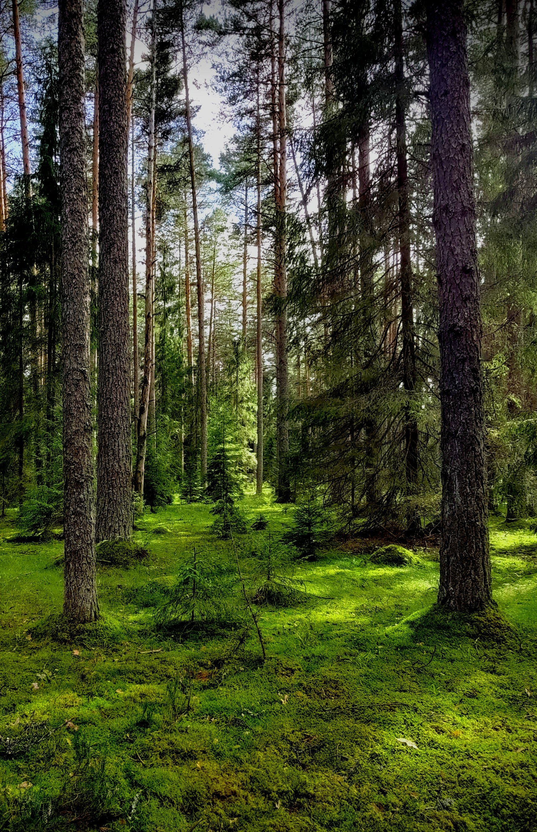 Фото База отдыха Заполек