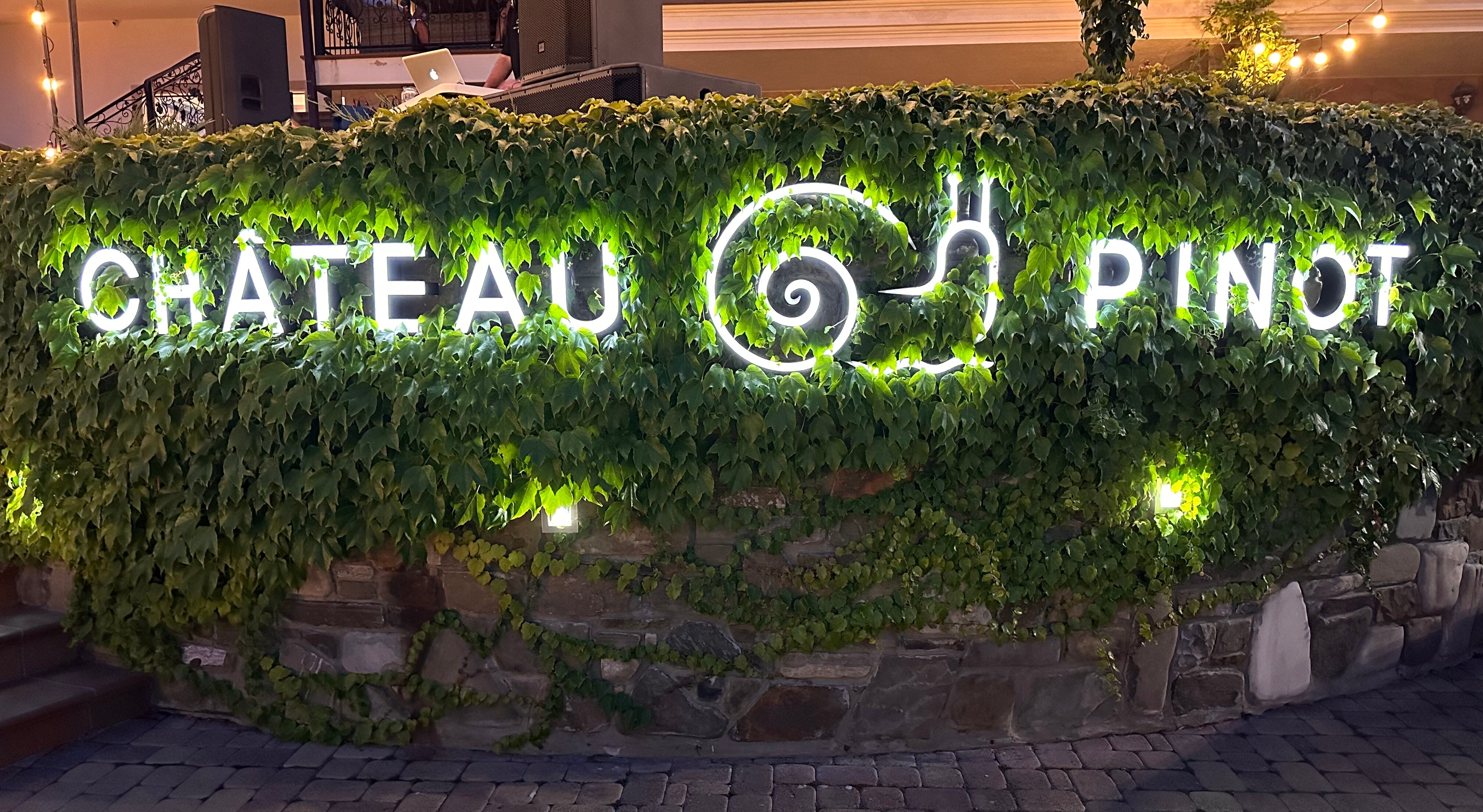 Фото Chateau Pinot Отель