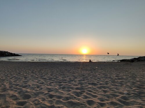 Голые дети на пляже Страница 5 | Голые Дети Пляж: векторные изображения и иллюстрации, которые  можно скачать бесплатно | Freepik