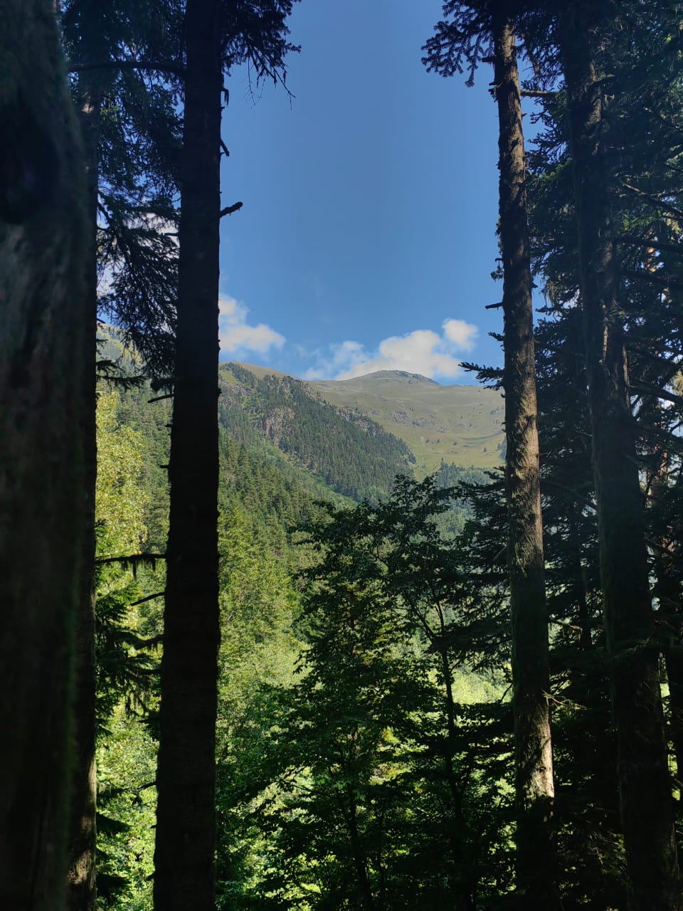 Фото Soul Arkhyz