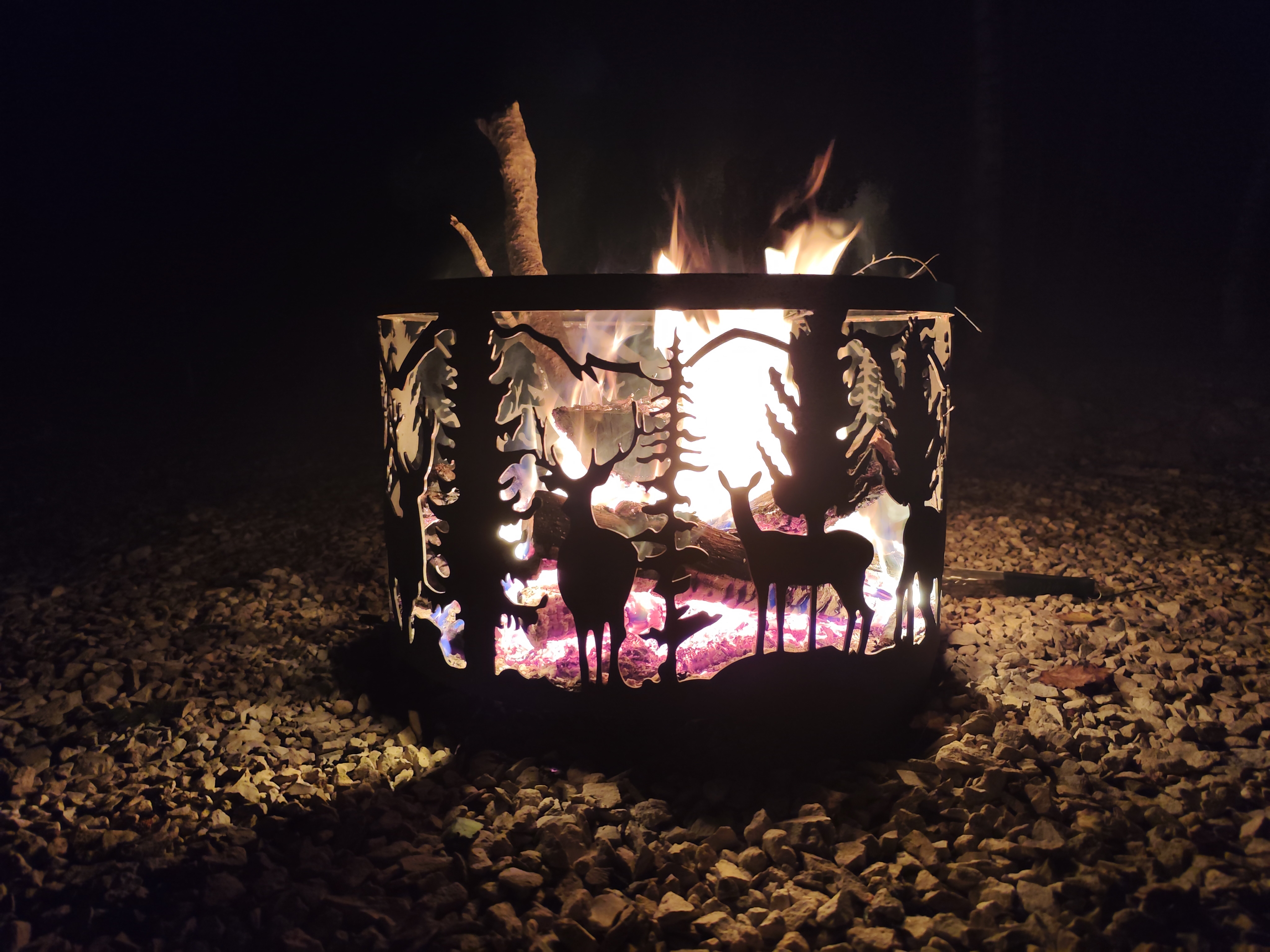 Фото Эко Дуб