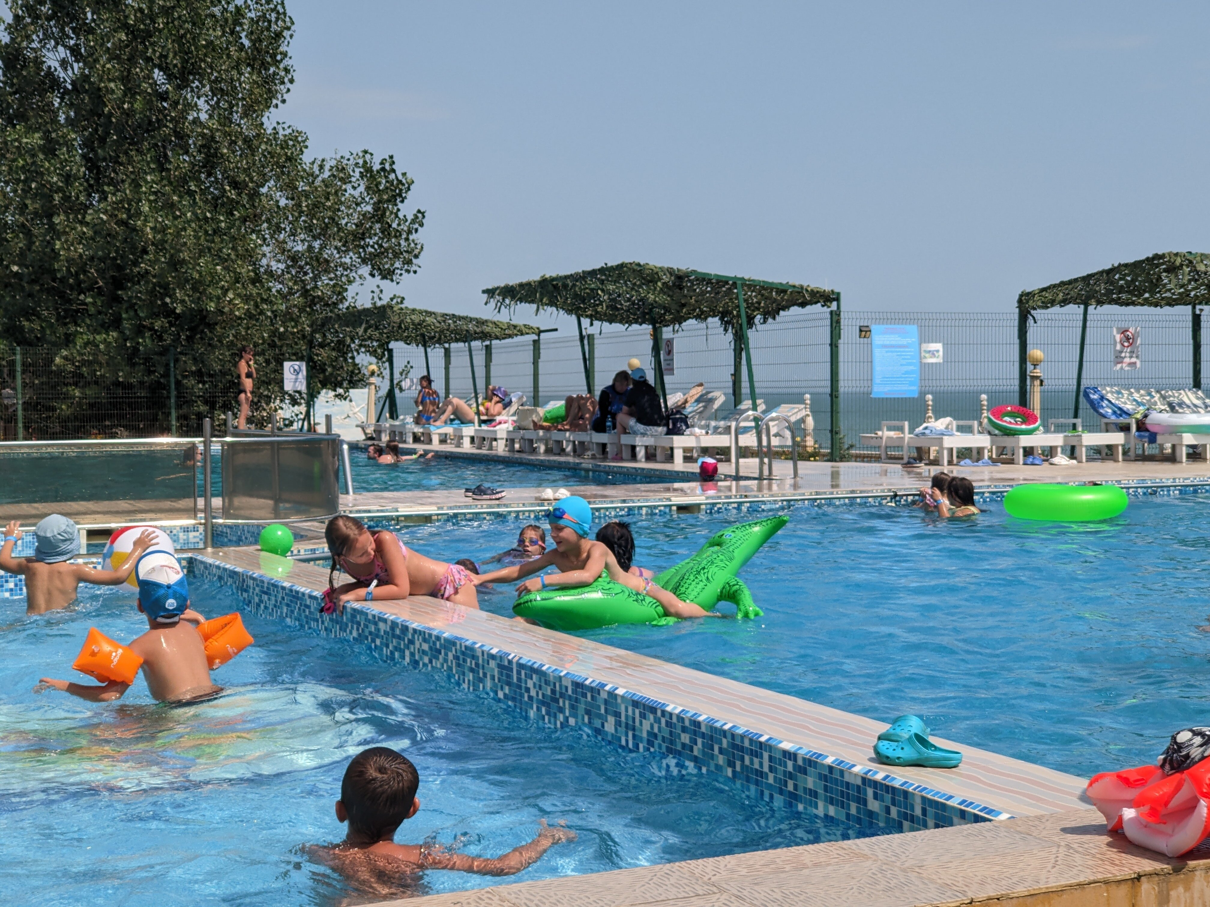 Фото Журавли