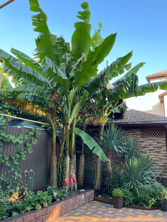 Фото Добрый